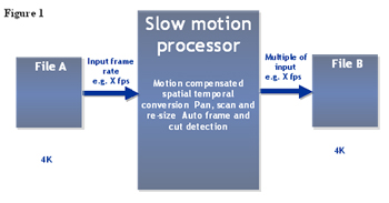Diagram 1 copy